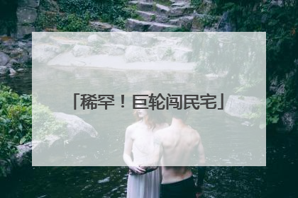 稀罕！巨轮闯民宅